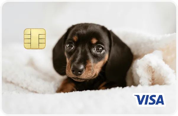 エポスペットカード